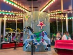 Rentable Merry-Go-Round for 3-6-12-24 People - Image 9