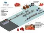 50 Ton/Day Tomato Paste Production Line - Image 2