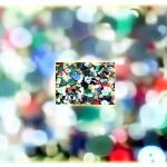Plastic Button