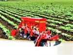 5-Row Roller Spring Inter-Cultivator Machine - Image 2
