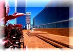 Wooden Decking Services