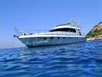 Cruise Boats Custom Made 246