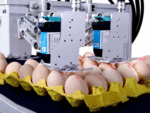 6 Station Egg Inkjet Egg Coding Machine - Image 7