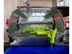 Vegetable Washing Machine with Vibration Conveyor - Image 2