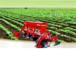 7-Row Roller Spring Inter-Cultivator Machine - Image 2