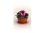 0.8 Litre Violet Pot