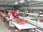 Fully Automatic Meat Cutting Lines - Image 2