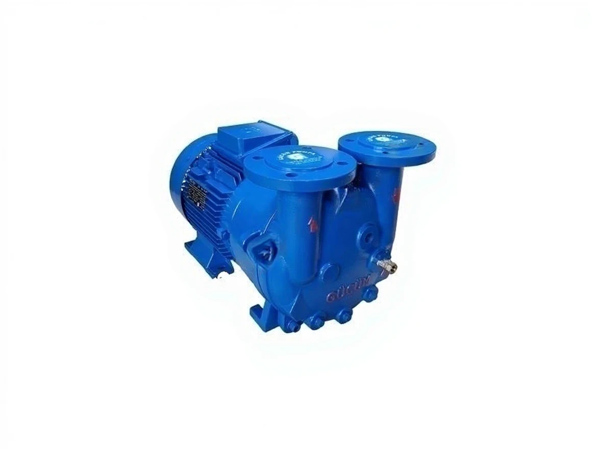 k3hb5jct51rmt0cvzrkvnb1drr Gmvp 200/085 Monoblock Vacuum Pump - Image 1