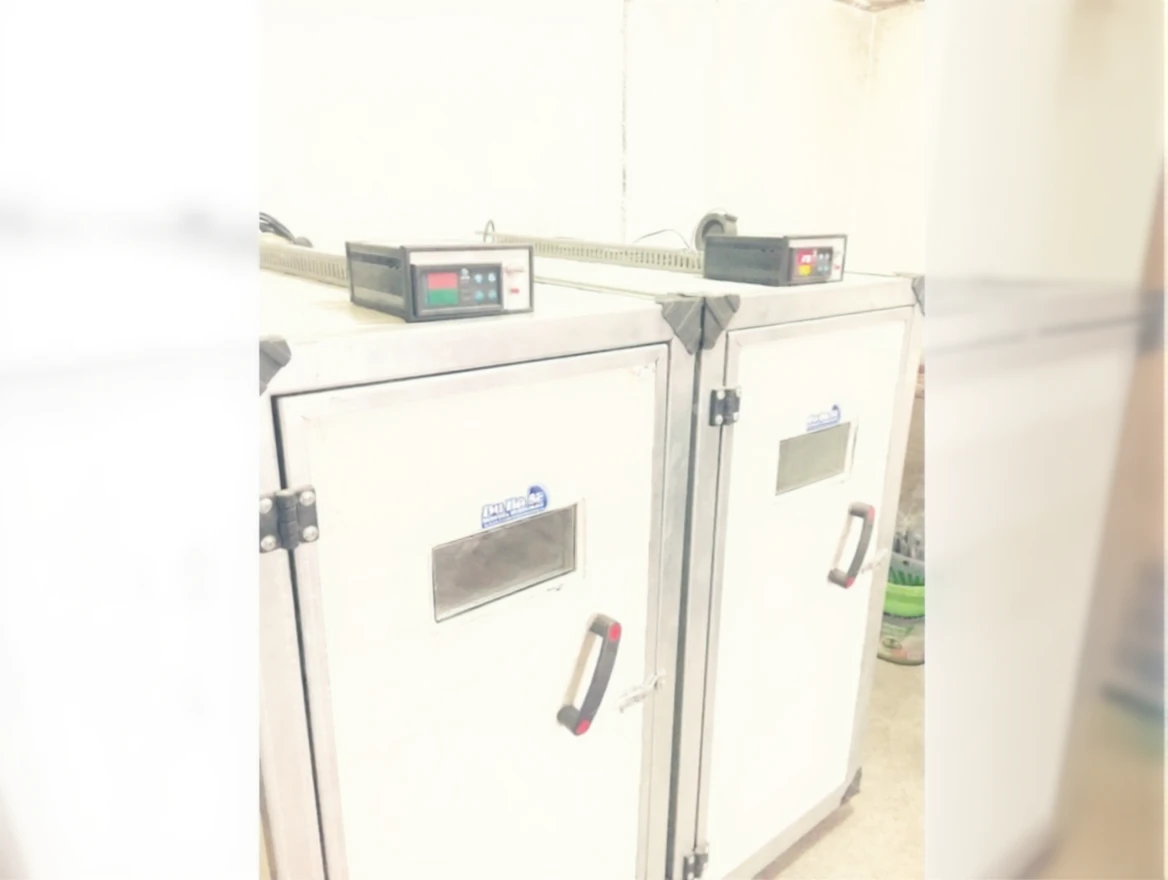 kg79b7vnw5rmc0cv1v2a0sf0hg Combination Egg Incubator 216 Development 54 Output Du-Ha-Se - Image 1