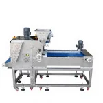 Dried Date Cube Cutting Machine