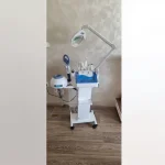 9+1 D280 Aroma Steam Professional Full Skin Care Device