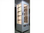 Vertical Type Cake Display Cabinet