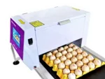 Carton Egg Coding Machine - Image 2