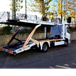 3-Car Carrier Trailer