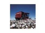 Cotton harvester / Case Ih 620 Cotton Express