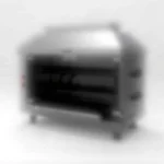 2-Arm (10 Chickens) Gas Rotisserie Machine