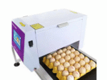 Carton Egg Coding Machine - Image 2