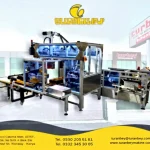 Fully Automatic Single Head Carton Filling Machine