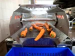 Vegetable Washing Machine with Vibration Conveyor - Image 9