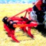 250 cm Garden Type Small 9-Foot Chisel