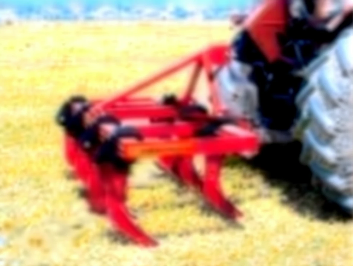 n5639cd6rnrmr0cvnh28sh2zzr 250 cm Garden Type Small 9-Foot Chisel - Image 1