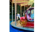 Rentable Merry-Go-Round for 3-6-12-24 People - Image 8