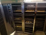 Stainless Steel Fruit Drying Oven - Image 6
