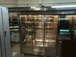 Double Display Chicken Rotisserie Machine 12 Skewers Rotating Rest Natural Gas And Lpg - Image 4
