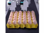 6 Station Egg Inkjet Egg Coding Machine - Image 6