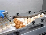 RX2 Egg Breaking Separating Machine - Image 6
