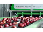 Apple Packaging and Grading Machine - Image 2