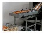 RX2 Egg Breaking Separating Machine - Image 8