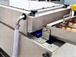 9600 Units/Hour Conveyor Egg Washing Machine - Image 5