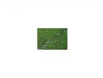 Overseeder - Tractor Mounted Type 60 Hp 152 Cm Grass Overseeding Machine - Image 10