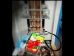Tomato Pepper Paste Filling Machine - Image 2