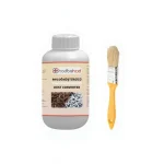 Rust Converter And Metal Surface Protector Primer - 250 Ml