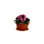 0.8 Liter Violet Flower Pot
