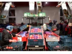 Conveyor Belt Fruit Vegetable Sorting Line - Image 3