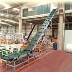 Factory Manufacturing Transfer Conveyor in Special Designs