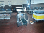 ALG Flowpack Horizontal Packaging Machine