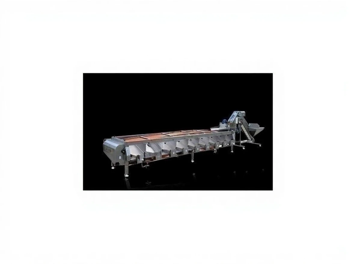 r4tkdy6np1rm80ctydqvcnx5q4 Olive Calibrating Machine (4 Ton/Hour) - Image 1