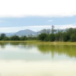 10x1.3 Meter Foot Tennis Set