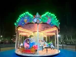 12-Person Carousel - Image 11