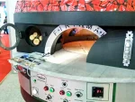 Gas and Wood Stone Pizza Oven - Image 12