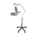 Led Lighted Floor Loop