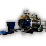 Solid Fuel (Coal Wood Sawdust Etc) Steam Boiler