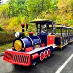 12 Person 3 Wagon Train