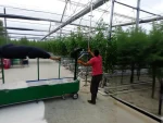 70 Meters / Minute Greenhouse Sprayer - Image 4