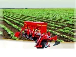 3-Row Spring Cultivator