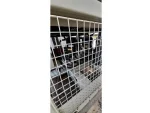 Mcsmart 400C 124.3 Kw Air Cooled Chiller - Image 15